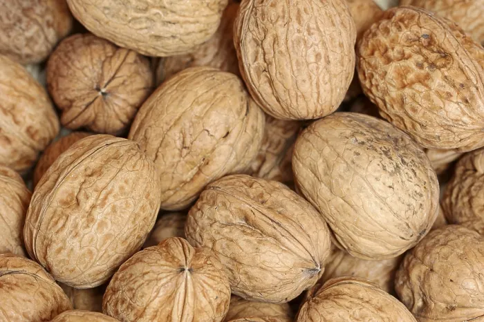 Stampa con cornice : Walnuts Stampa con cornice : Walnuts