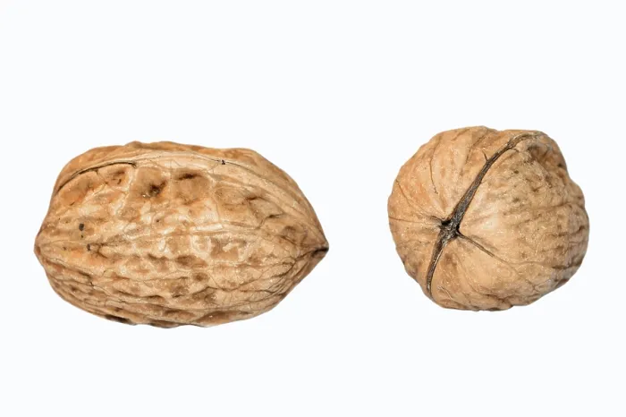 Stampa con cornice : Walnuts Stampa con cornice : Walnuts