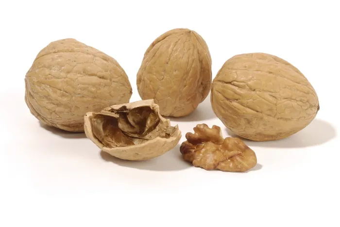 Stampa con cornice : Walnuts Stampa con cornice : Walnuts