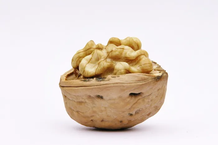 Stampa con cornice : Walnuts Stampa con cornice : Walnuts