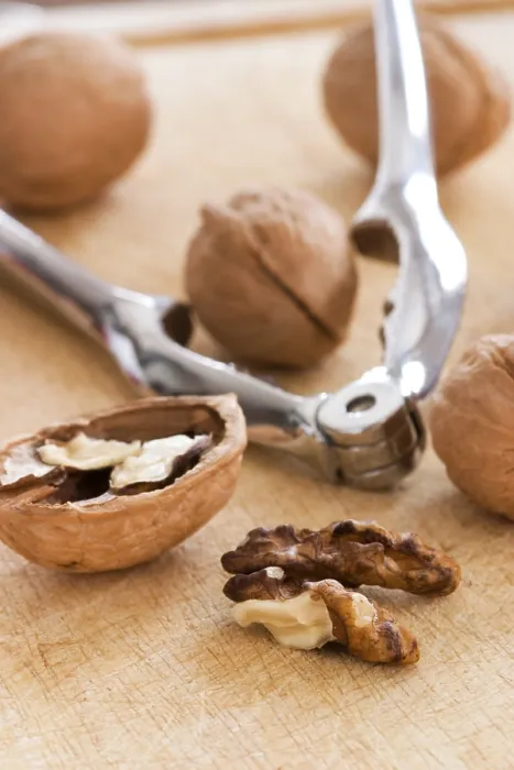 Stampa con cornice : Walnuts Stampa con cornice : Walnuts