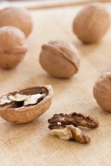 Stampa con cornice : Walnuts