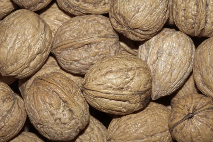 Stampa con cornice : Walnuts Stampa con cornice : Walnuts