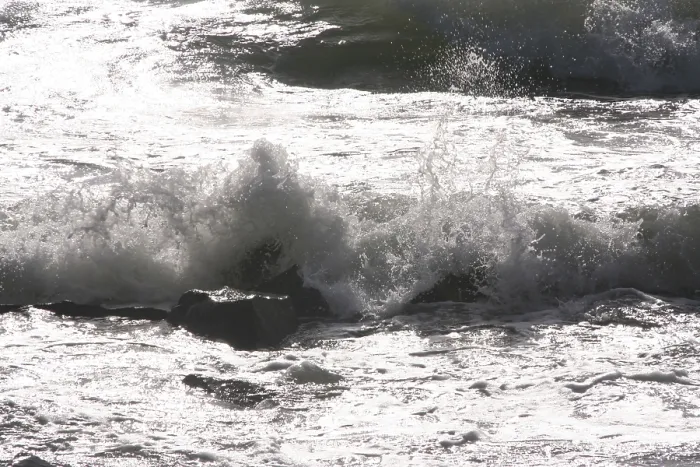 Stampa con cornice : Wave