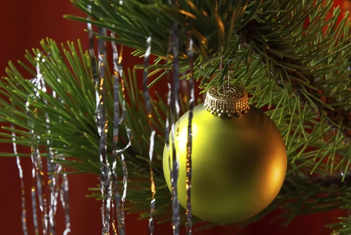 Stampa con cornice : Weihnachtskugel Stampa con cornice : Weihnachtskugel