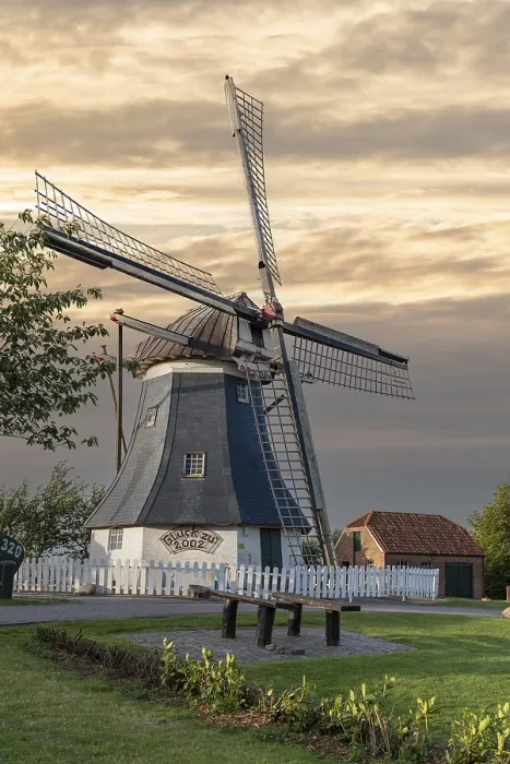 Stampa con cornice : Werdumer Mühle, Erdholländer Stampa con cornice : Werdumer Mühle, Erdholländer