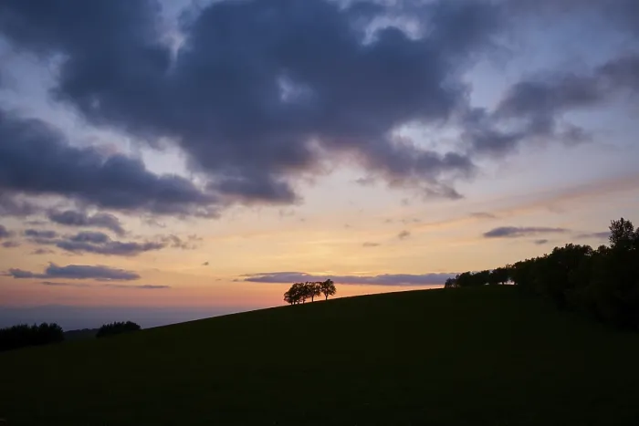 Stampa con cornice : Wind beeches at sunset with cloudy sky in spring, Schauinsland, Freiburg im Breisgau, Black Forest, Baden-Württemberg, Germania Stampa con cornice : Wind beeches at sunset with cloudy sky in spring, Schauinsland, Freiburg im Breisgau, Black Forest, Baden-Württemberg, Germania