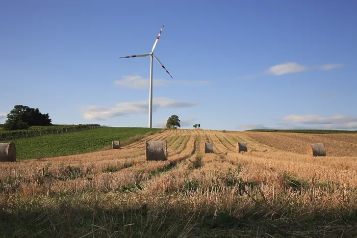 Stampa con cornice : Windmill Stampa con cornice : Windmill