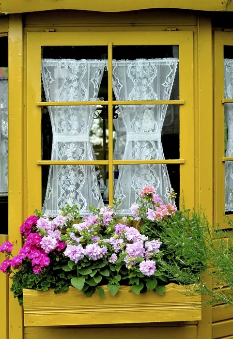 Stampa con cornice : Finestra con gerani all'esterno.