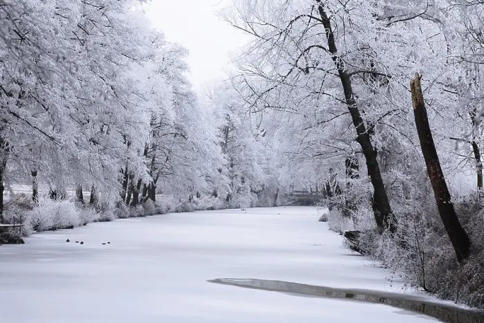 Stampa con cornice : Winter Stampa con cornice : Winter