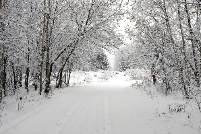 Stampa con cornice : Winter Stampa con cornice : Winter