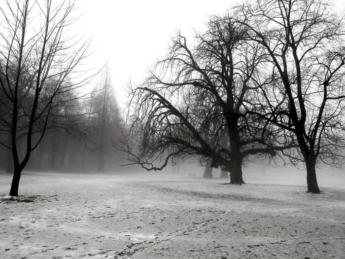 Stampa con cornice : Winter Stampa con cornice : Winter
