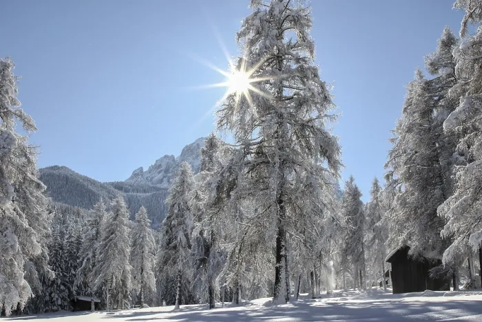 Stampa con cornice : Winter