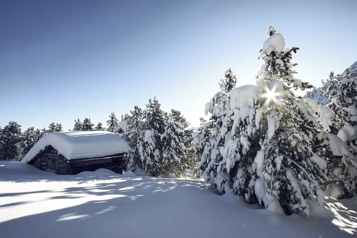 Stampa con cornice : Winter
