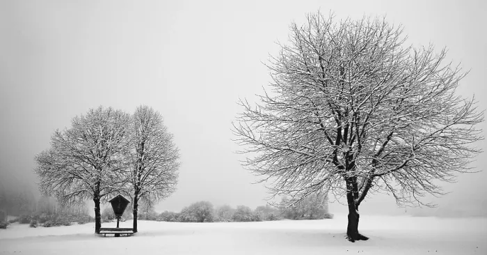 Stampa con cornice : Idillio invernale. Stampa con cornice : Idillio invernale.