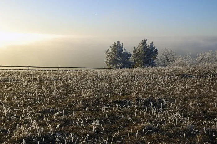 Stampa con cornice : Paesaggio invernale