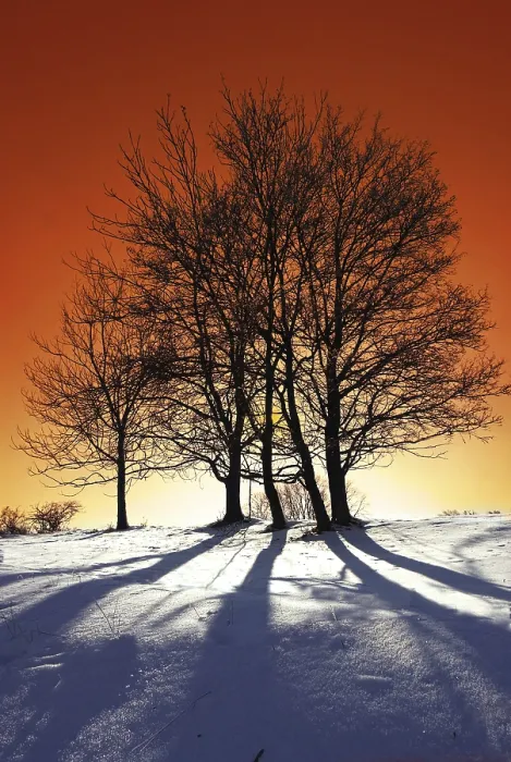 Stampa con cornice : Winterabend Stampa con cornice : Winterabend