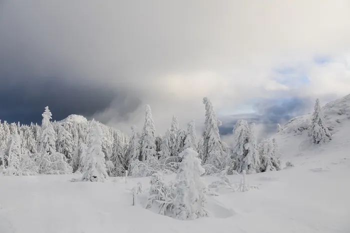Stampa con cornice : Winterlandschaft Stampa con cornice : Winterlandschaft