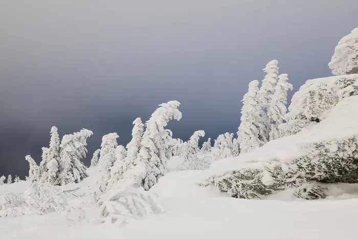 Stampa con cornice : Winterlandschaft Stampa con cornice : Winterlandschaft