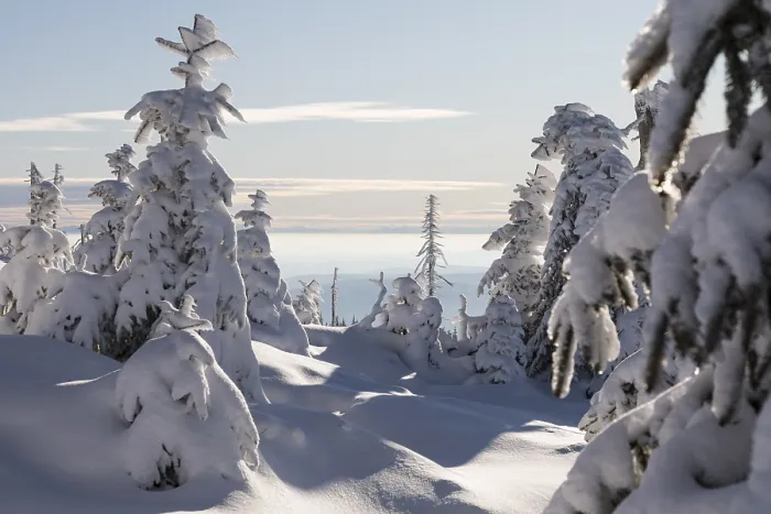Stampa con cornice : Winterlandschaft