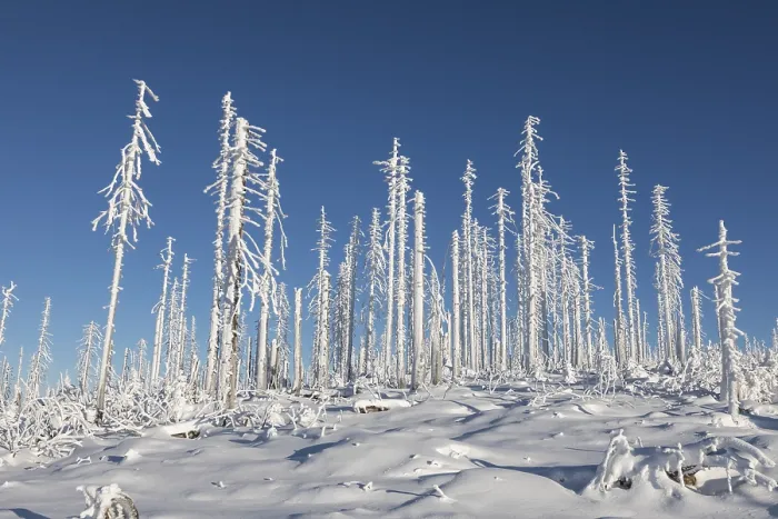 Stampa con cornice : Winterlandschaft Stampa con cornice : Winterlandschaft