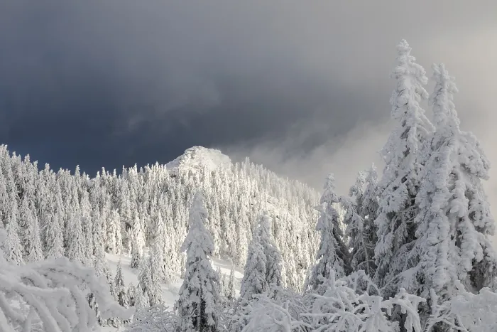Stampa con cornice : Winterlandschaft Stampa con cornice : Winterlandschaft