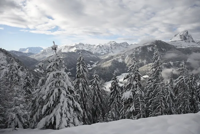 Stampa con cornice : Winterly Stampa con cornice : Winterly