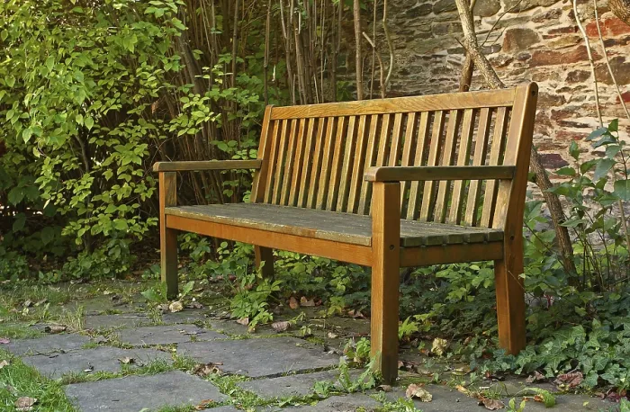 Stampa con cornice : Banco di legno del parco.
