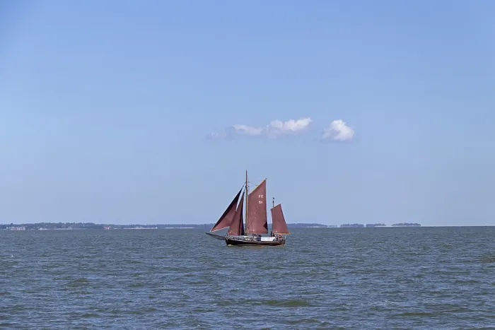 Stampa con cornice : Regata della nave a vela, Wustrow, Saaler Bodden Stampa con cornice : Regata della nave a vela, Wustrow, Saaler Bodden