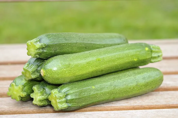 Stampa con cornice : Zucchini