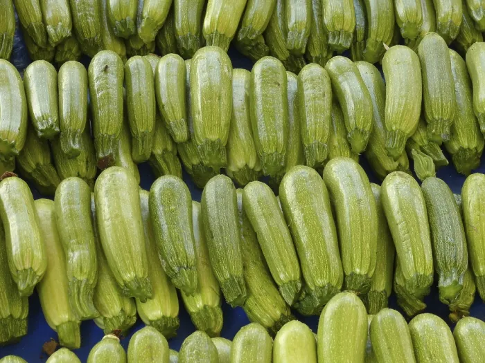 Stampa con cornice : Zucchini Stampa con cornice : Zucchini