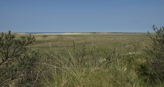 Stampa con cornice : Slufter. De Slufter op Texel; Slufter on Texel