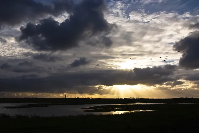 Stampa con cornice : Texel, Texel
