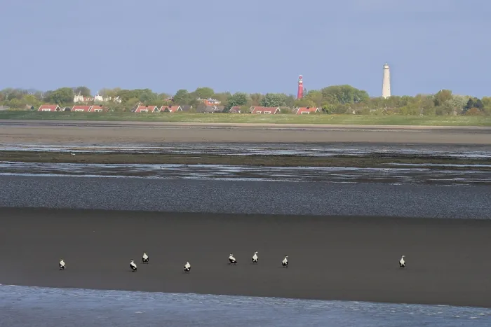 Stampa con cornice : Mar di Wadden