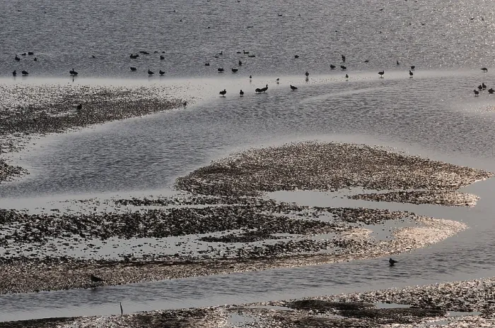 Stampa con cornice : Mar di Frisia Stampa con cornice : Mar di Frisia