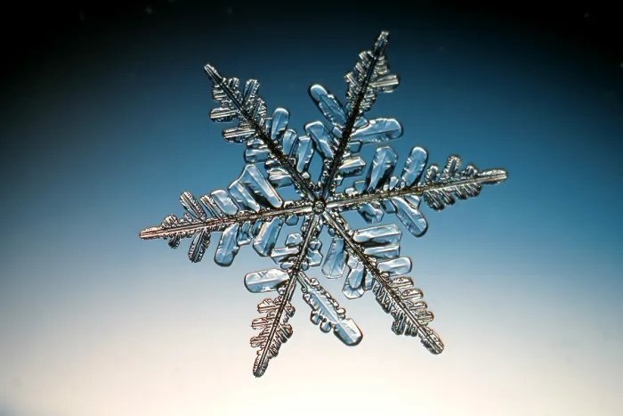 Stampa con cornice : Snowflake. Una neve o una cristallo di neve Stampa con cornice : Snowflake. Una neve o una cristallo di neve