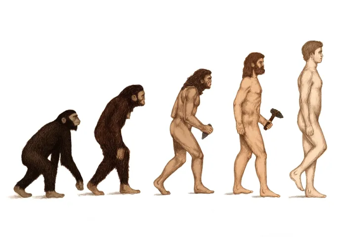 Stampa con cornice : L'evoluzione Umana. Stampa con cornice : L'evoluzione Umana.