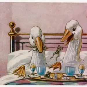 Geese in Bed Print: Two Geese Breakfasting Geese in Bed Print: Two Geese Breakfasting