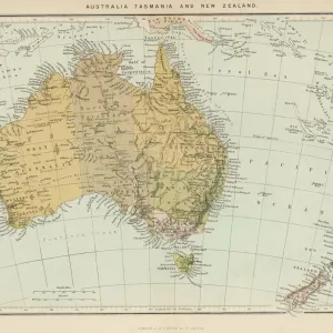 Tasman