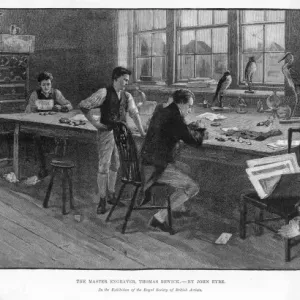 Trabajando Thomas Bewick Trabajando Thomas Bewick