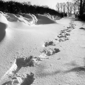 Footprints in the Snow Footprints in the Snow