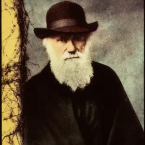 Print of Charles Darwin, a 65-year-old English naturalist