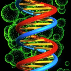 Computer artwork of beta DNA segment print
