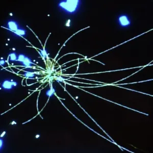 Particle Physics Research Print