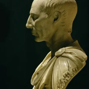 Sculture