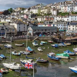 Brixham Harbour Print, Devon Coastline