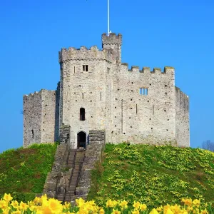 Norman Keep Print with Daffodils at Cardiff Castle Norman Keep Print with Daffodils at Cardiff Castle