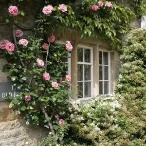 : WIndows