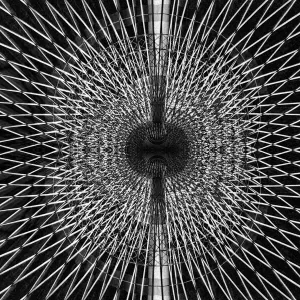 Stampe di : Evolvere