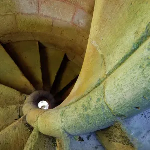 Fibonacci Escalera de caracol Print